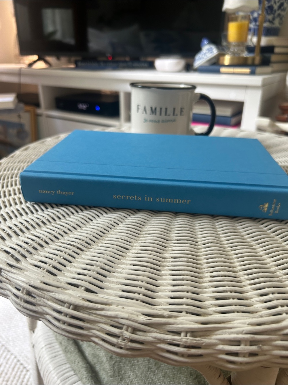Blue Hardcover Decorative Book - Secrets in Summer
